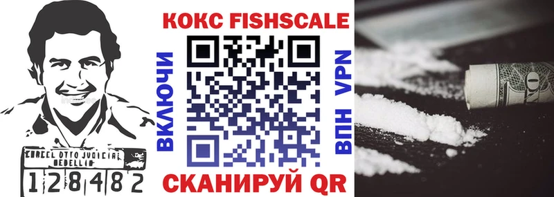 даркнет телеграм  Новозыбков  COCAIN Fish Scale 