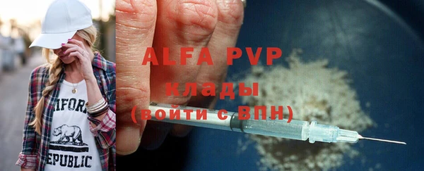амф Вяземский