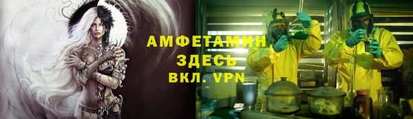 амф Вяземский
