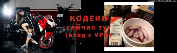 амф Вяземский
