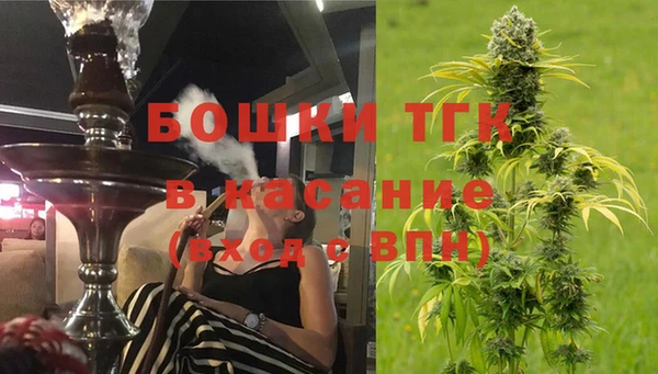 амф Вяземский