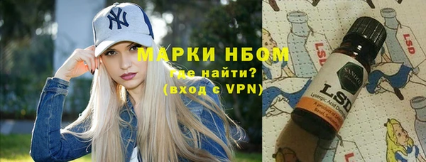 амф Вяземский